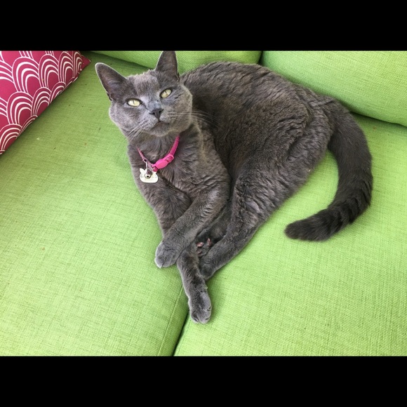 Meet your Posher, Kimberly - Picture 1 of 1